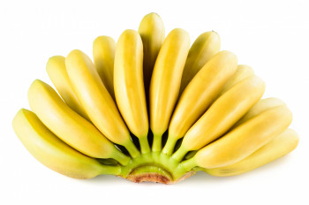 Banane Fressinet