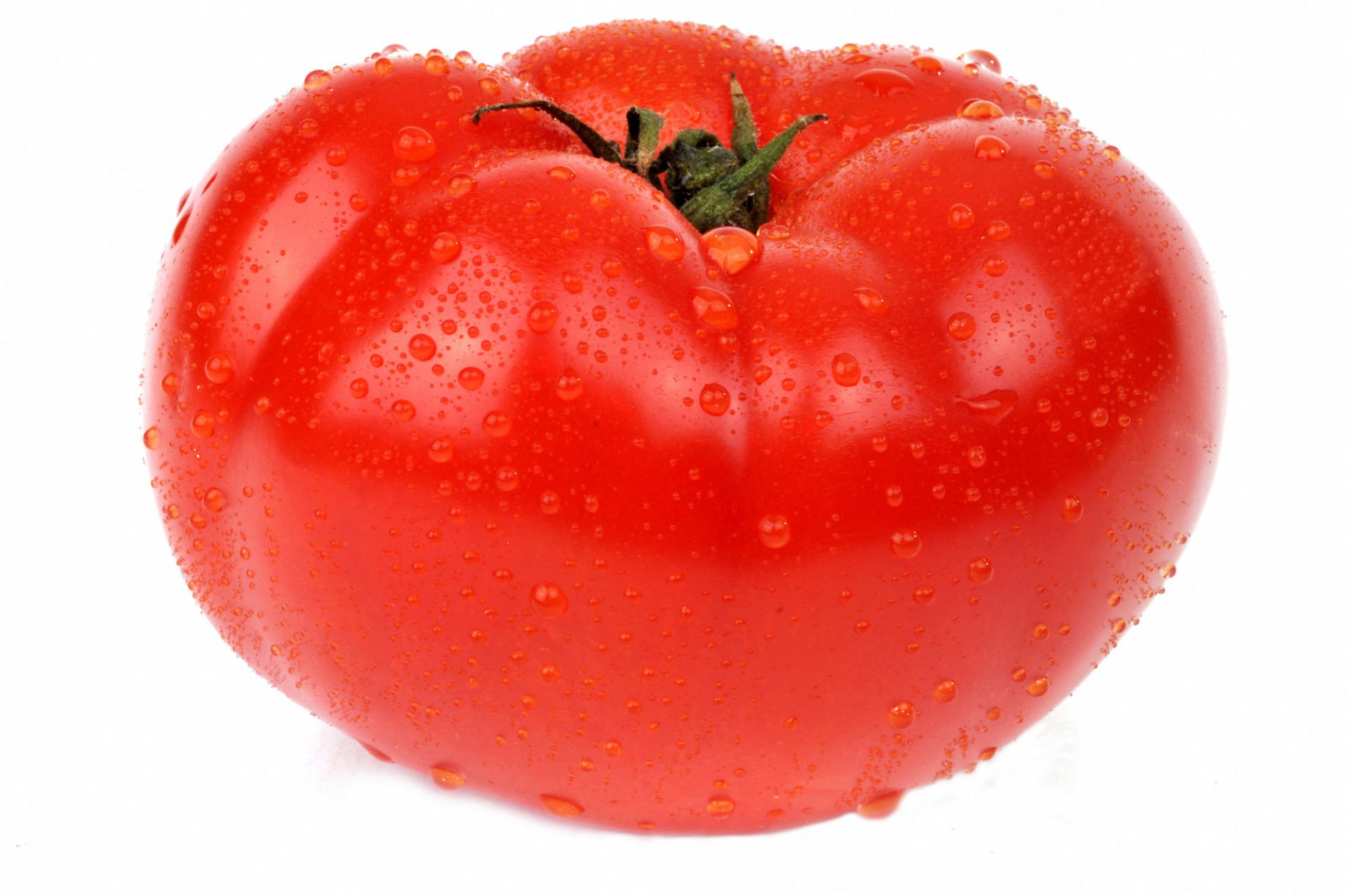 Tomate Ronde à Farcir
