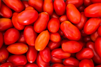 Tomate allongée San Marzano
